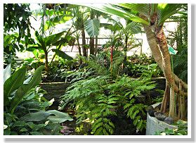 佐野植物公園には処理熱を利用した植物園もあります
